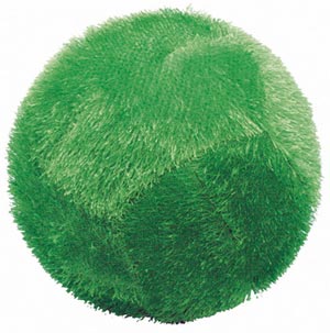 Gras Fußball