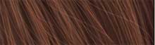 Brush Augentutorial