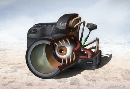 Das Innenleben der Canon 5D
