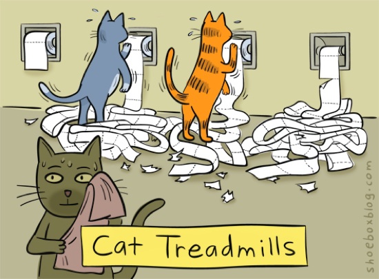 Fitnessstudio für Katzen