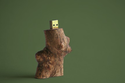 USB Stick im natürlich Holz Look